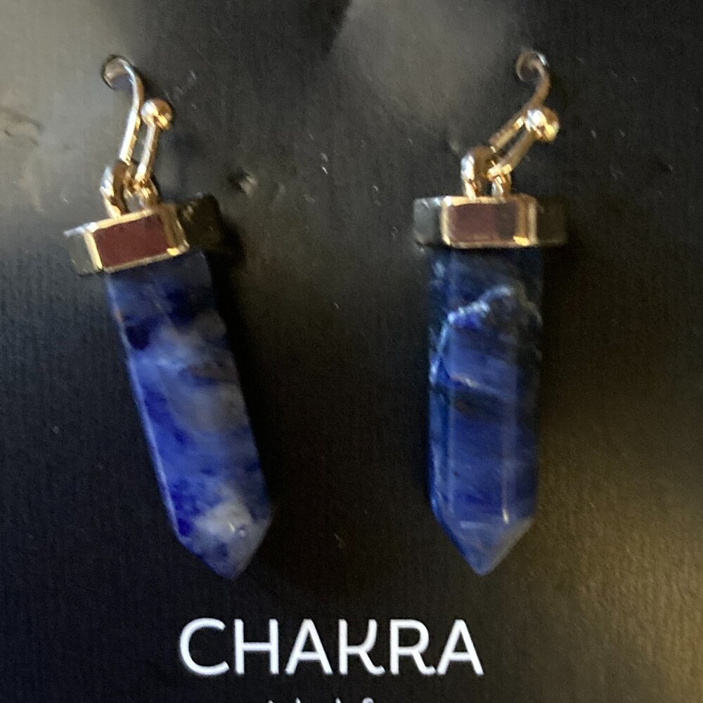 Sodalite hook earrings - new hildie & jo-NWT